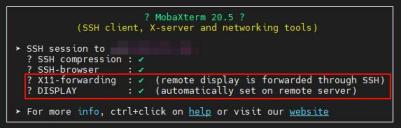 MobaXterm